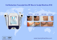 2mhz Rf Beauty Equipment Redukcja cellulitu Budowa mięśni