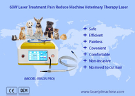 Weterynaryjna terapia laserowa diodowa 980 nm do leczenia ran zwierząt domowych
