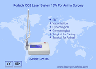 Przenośny Lcd Veterinary Co2 Laser Do Chirurgii Zwierzęcej Co2 Laser Chirurgiczne Urządzenie