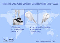 2.3KVA Stymulator mięśni EMS wyszczuplający 220v 300µS