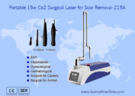 Przenośna chirurgiczna laserowa maszyna do usuwania blizn 10600nm CO2 dla zwierząt domowych