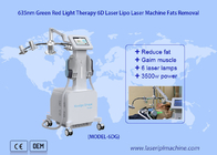 Niski poziom 6D Laser Redukcja tłuszczu 532nm Zielony 635nm Terapia czerwonym światłem Urządzenie do terapii zimnym laserem
