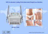 EMS Fat Reduce Cryo Plate Machine z 4 podkładkami chłodzącymi