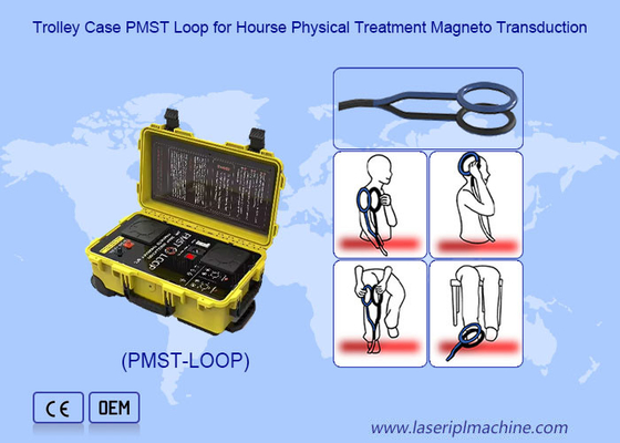 Fizjoterapia magnetyczna Terapia polem magnetycznym z oscylacją 4500 HZ
