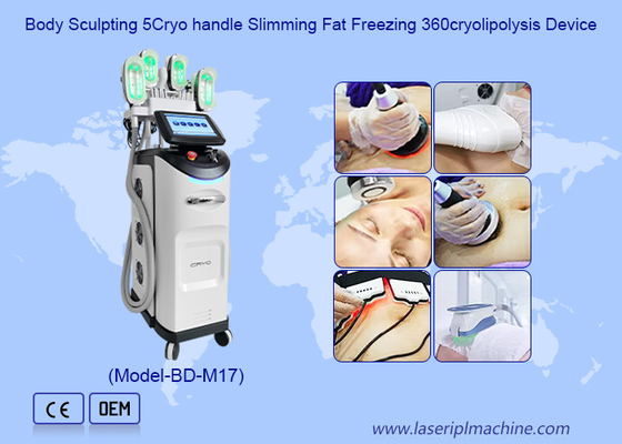 Profesjonalna Kriolipoliza Odchudzająca Masa Weight Loss Beauty Equipment