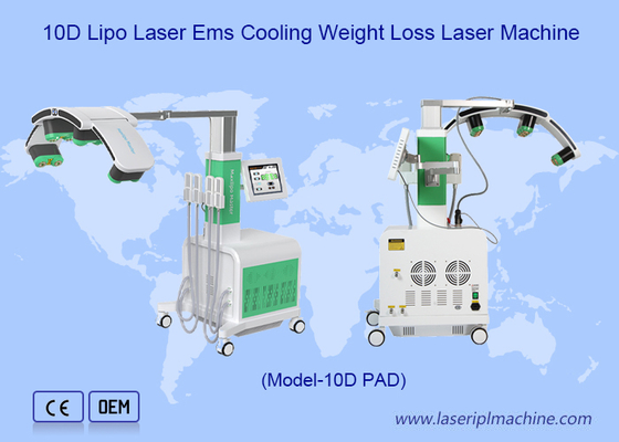 Zielone Czerwone Kryo Pads 10d Laser Fat Removal Maxlipo