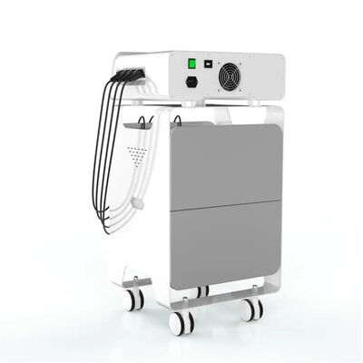 Dobra cena. Ems Radio Frequency Sprzęt Eswt Ulga w bólu pleców Opieka zdrowotna w Internecie