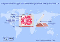 ODM PDT Led Red Light Urządzenie kosmetyczne do użytku domowego