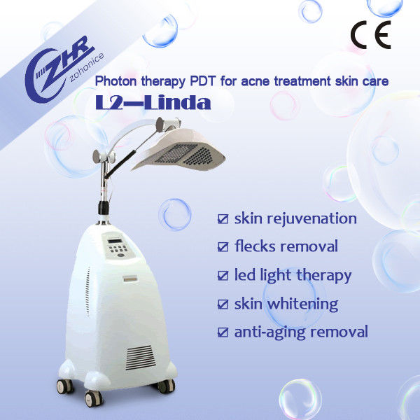 Przenośny 1060nm C02 Fractional Laser na zmarszczki usunięcie rozstępów