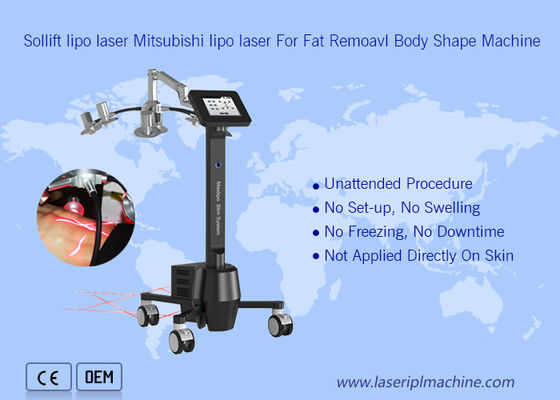 Dobra cena. 220v Przenośna maszyna do kriolipolizy 6d Lipolaser Zerona Beauty w Internecie