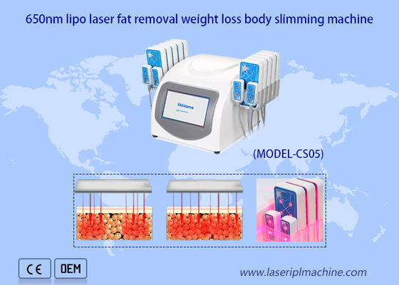 Przenośna maszyna do lipo-lasera 650 nm Ultrashape Odchudzanie ciała Odchudzanie