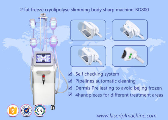 Dobra cena. Kształt ciała Kriolipoliza Maszyna odchudzająca, Lipo Cryo Cryolipolysis Beauty Equipment w Internecie