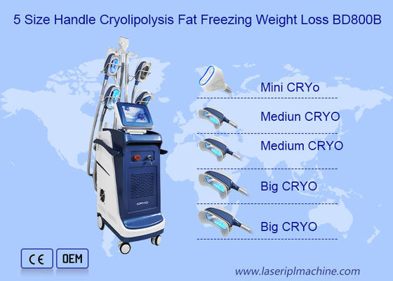 Dobra cena. 360 Angle Vertical Double Chin Cryolipolysis Slimming Machine w Internecie