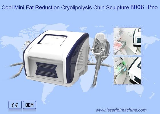 Dobra cena. 12V Cool Mini Fat Reduction Cryolipolysis Slimming Machine w Internecie